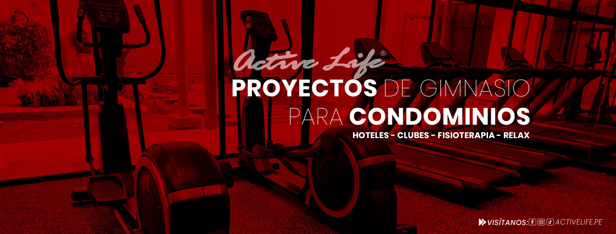 showroom-pag-web2