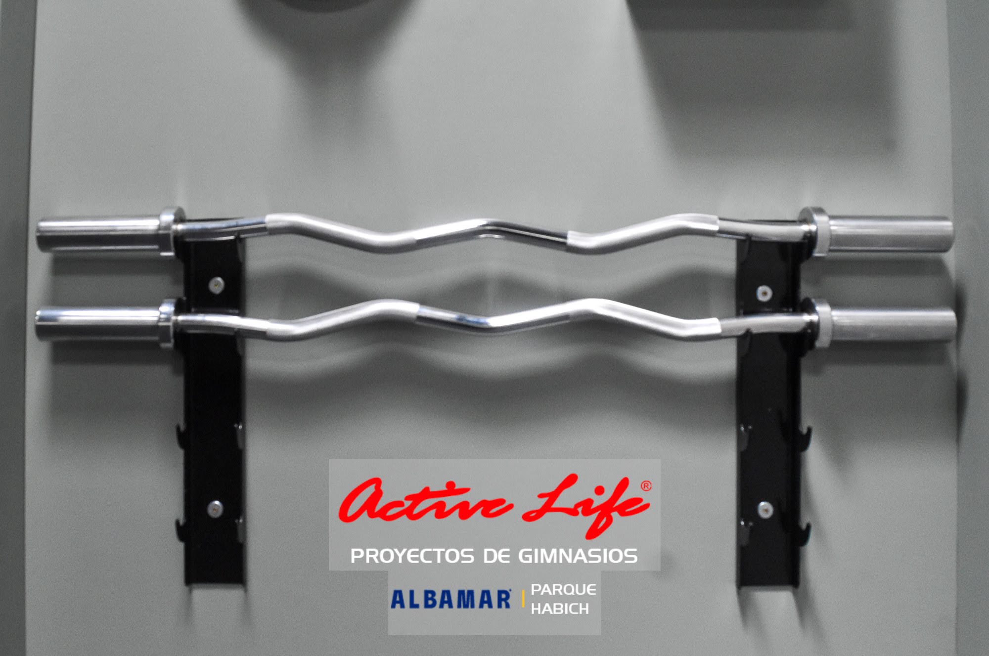 Proyecto de gimnasio Albamar - activelife - matrix - cardio - trotadoras - elipticas - maquinas de gimnasio para hoteles y condominios, barras mancuernas y equipos de hogar