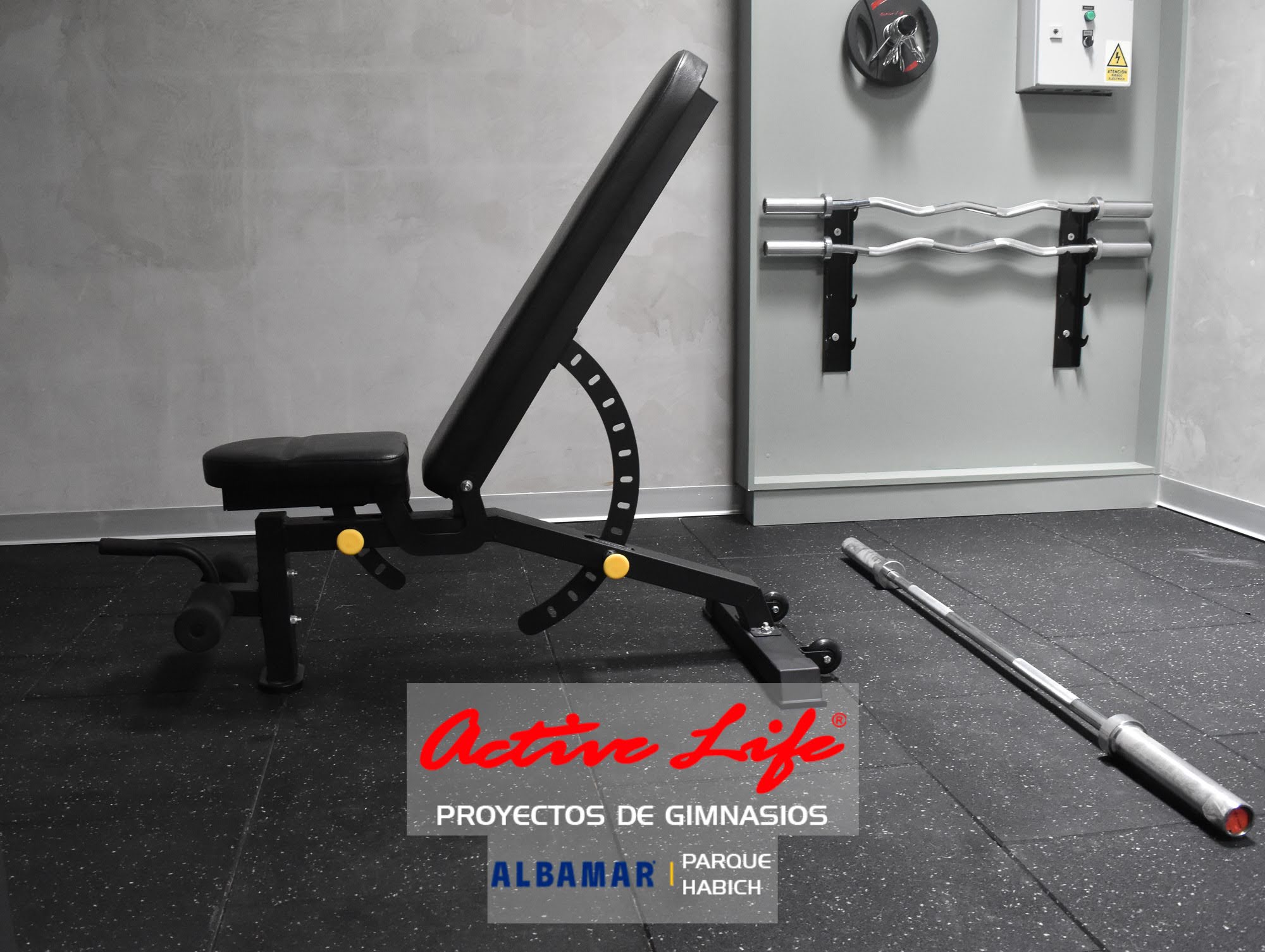 Proyecto de gimnasio Albamar - activelife - matrix - cardio - trotadoras - elipticas - maquinas de gimnasio para hoteles y condominios, barras mancuernas y equipos de hogar