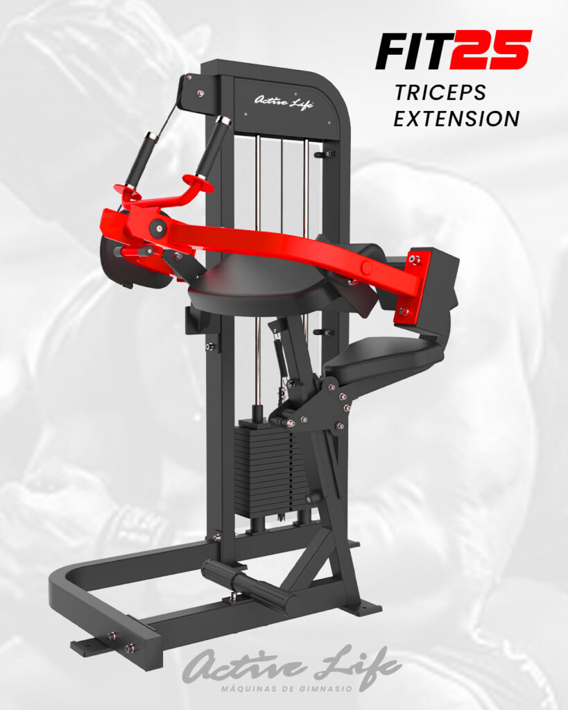 MAQUINA DE TRICEPS