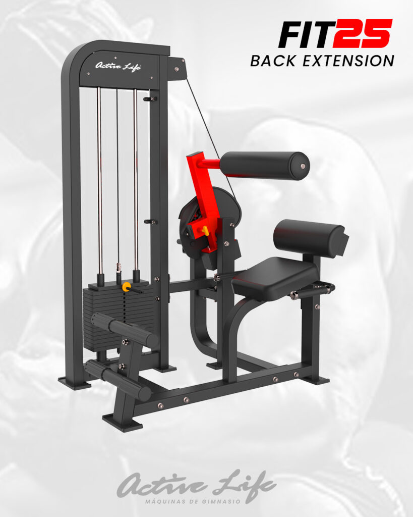 EXTENCION DE ESPALDA ACTIVELIFE