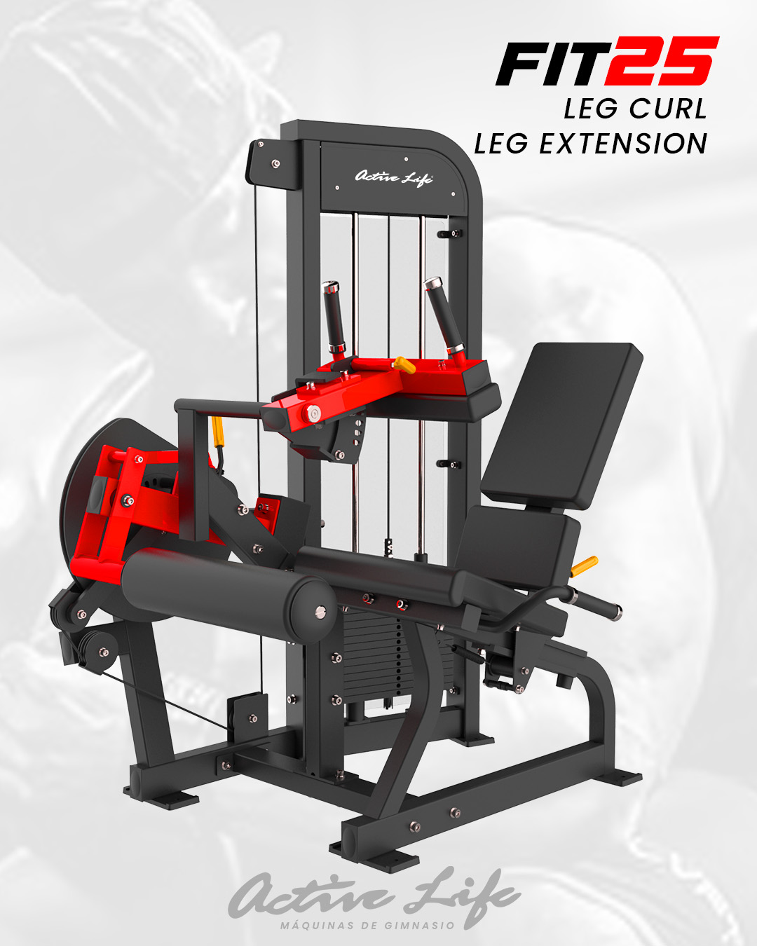 DUAL EXTENCIONES DE PIERNAS Y FEMORALES