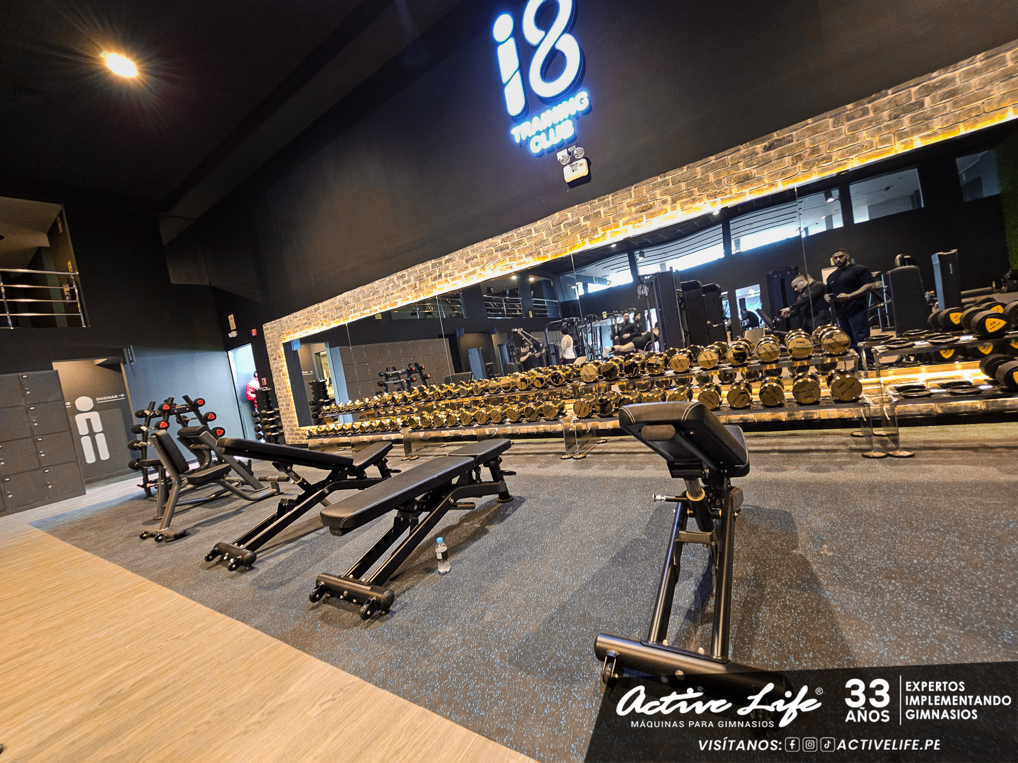 proyectos de gimnasio activelife gimnasio i8