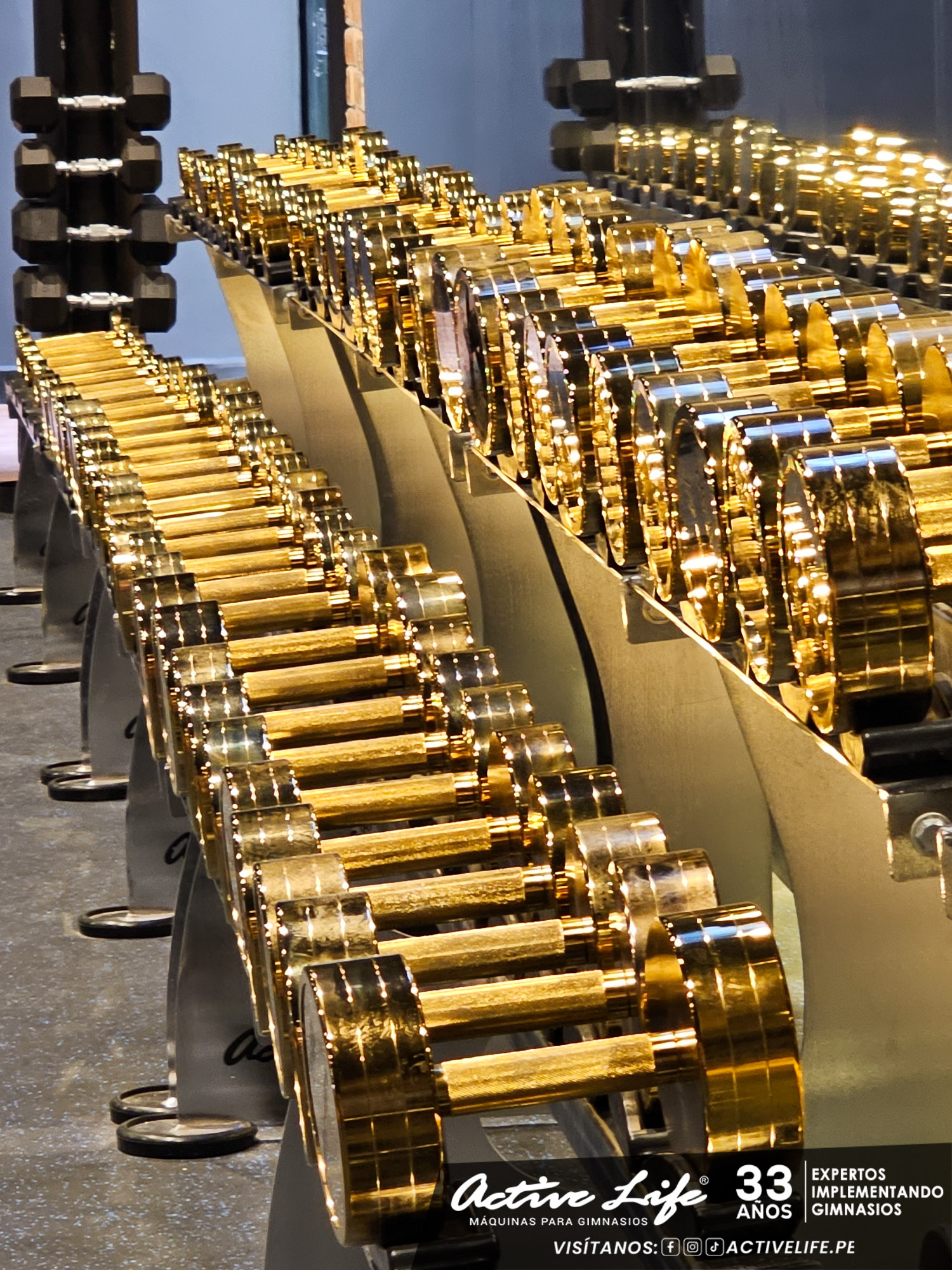 proyectos de gimnasio activelife gimnasio i8