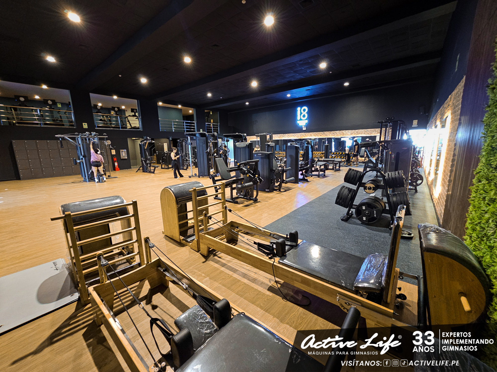 proyectos de gimnasio activelife gimnasio i8