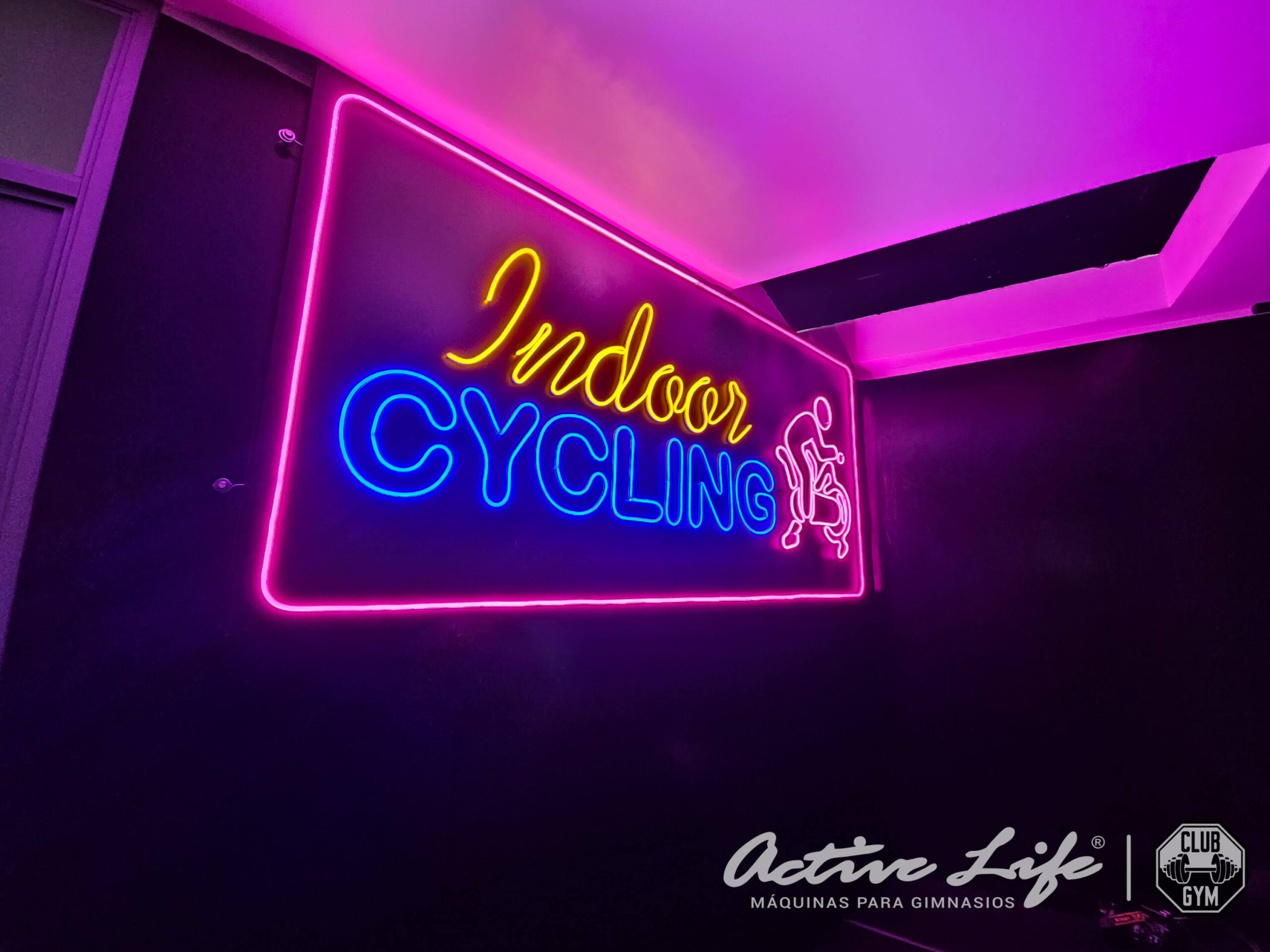 Clubgym - Chincha - Activelife Gimnasio - Smith - Prensa 45 - Sentadilla - Man cuernas - extencion de piernas - Femorales - Poleas - Trotadoras