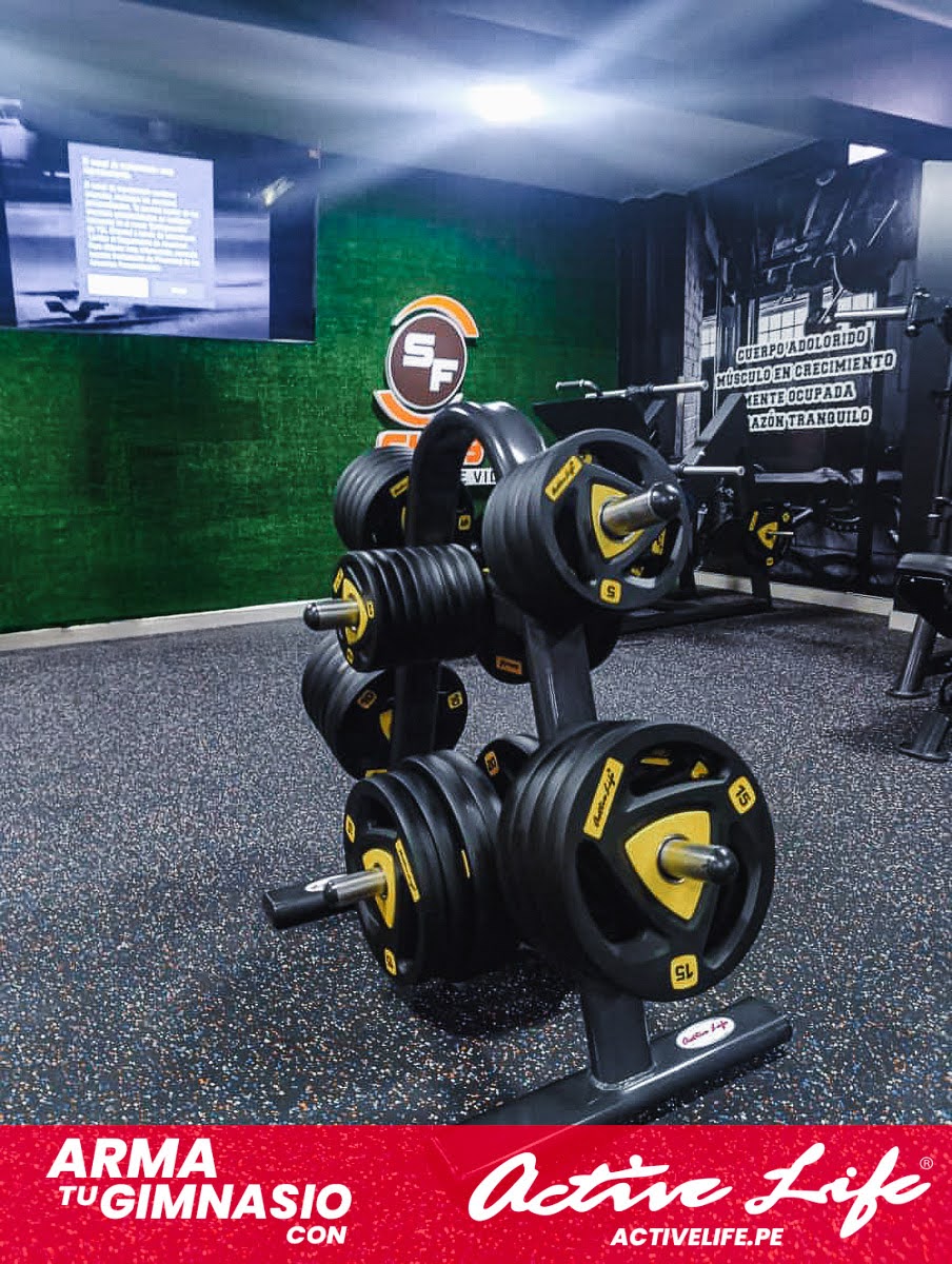 Maquinas de gimnasio Activelife - Gym80, Compacta, Matrix, Stregnght implementacion de gimnasios TODO EL PERÚ.