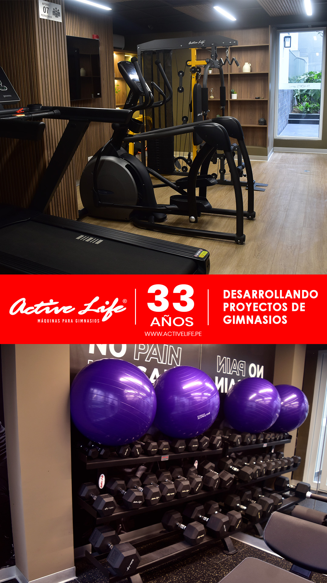 Maquinas de gimnasio Activelife - implementacion de gimnasios en condominion, maquina de pecho, piernas, trotadoras, elipticas, mini gimnasios