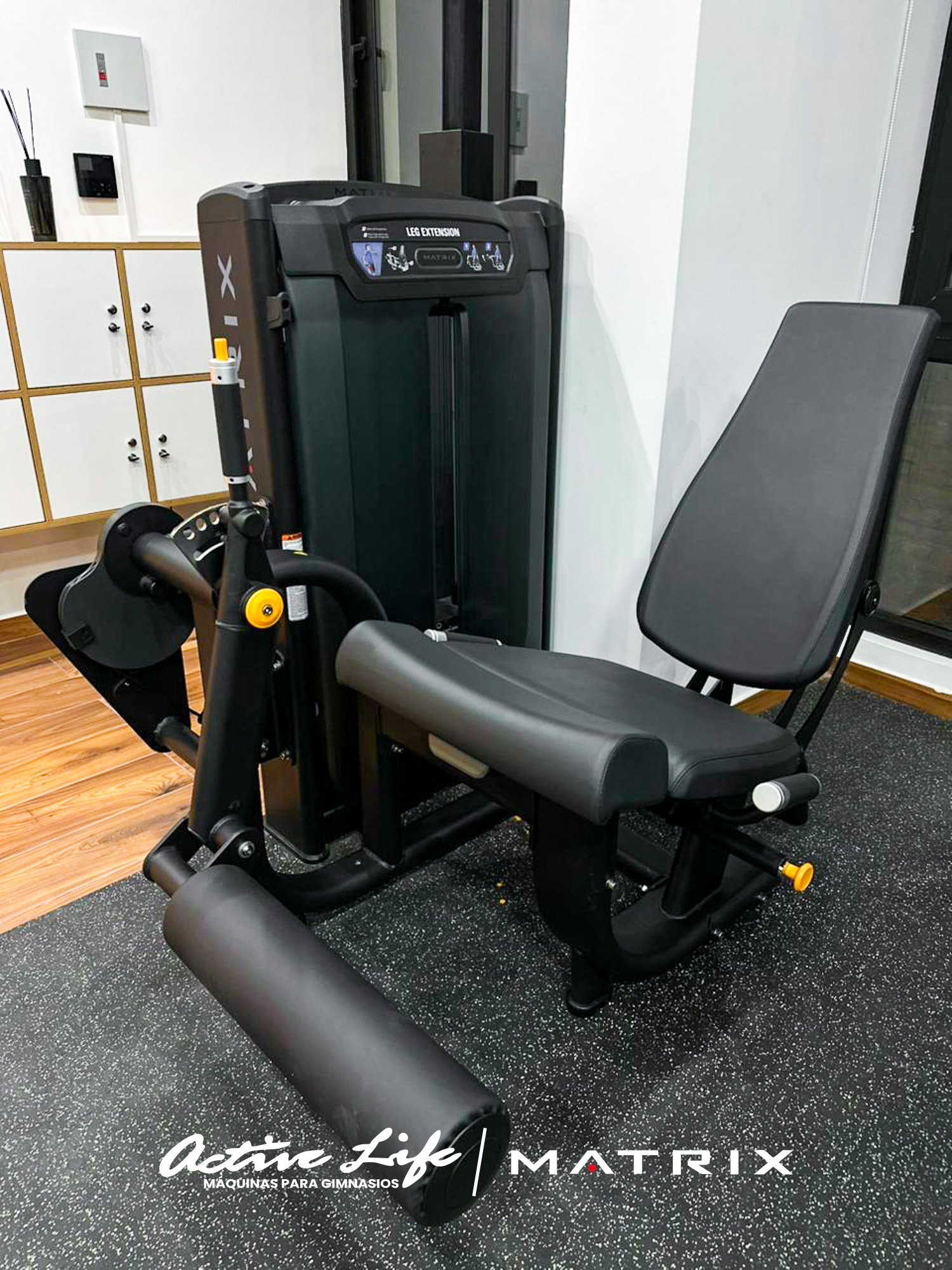 GIMNASIO EZ FITNESS CLUB - ACTIVELIFE