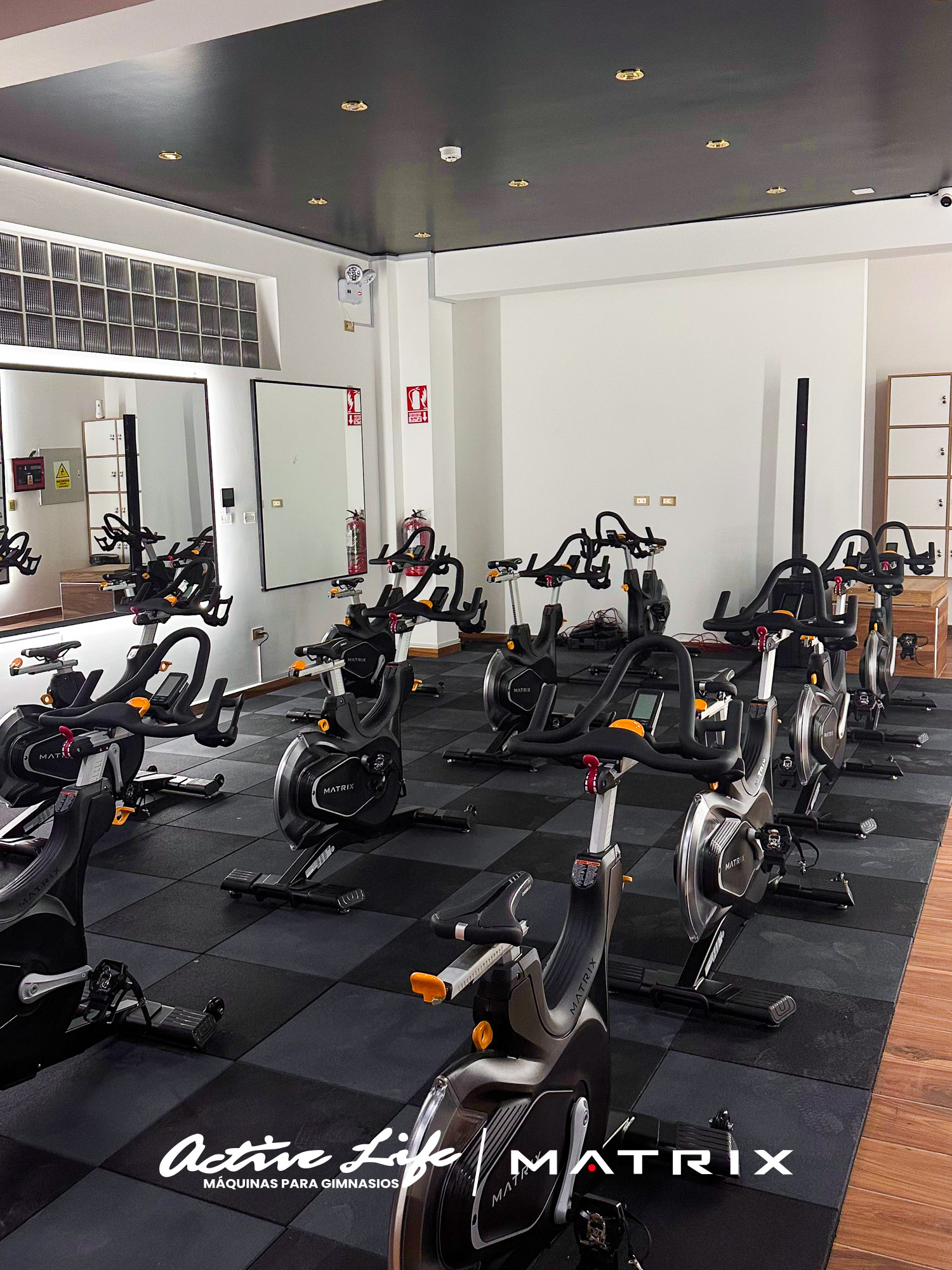 GIMNASIO EZ FITNESS CLUB - ACTIVELIFE