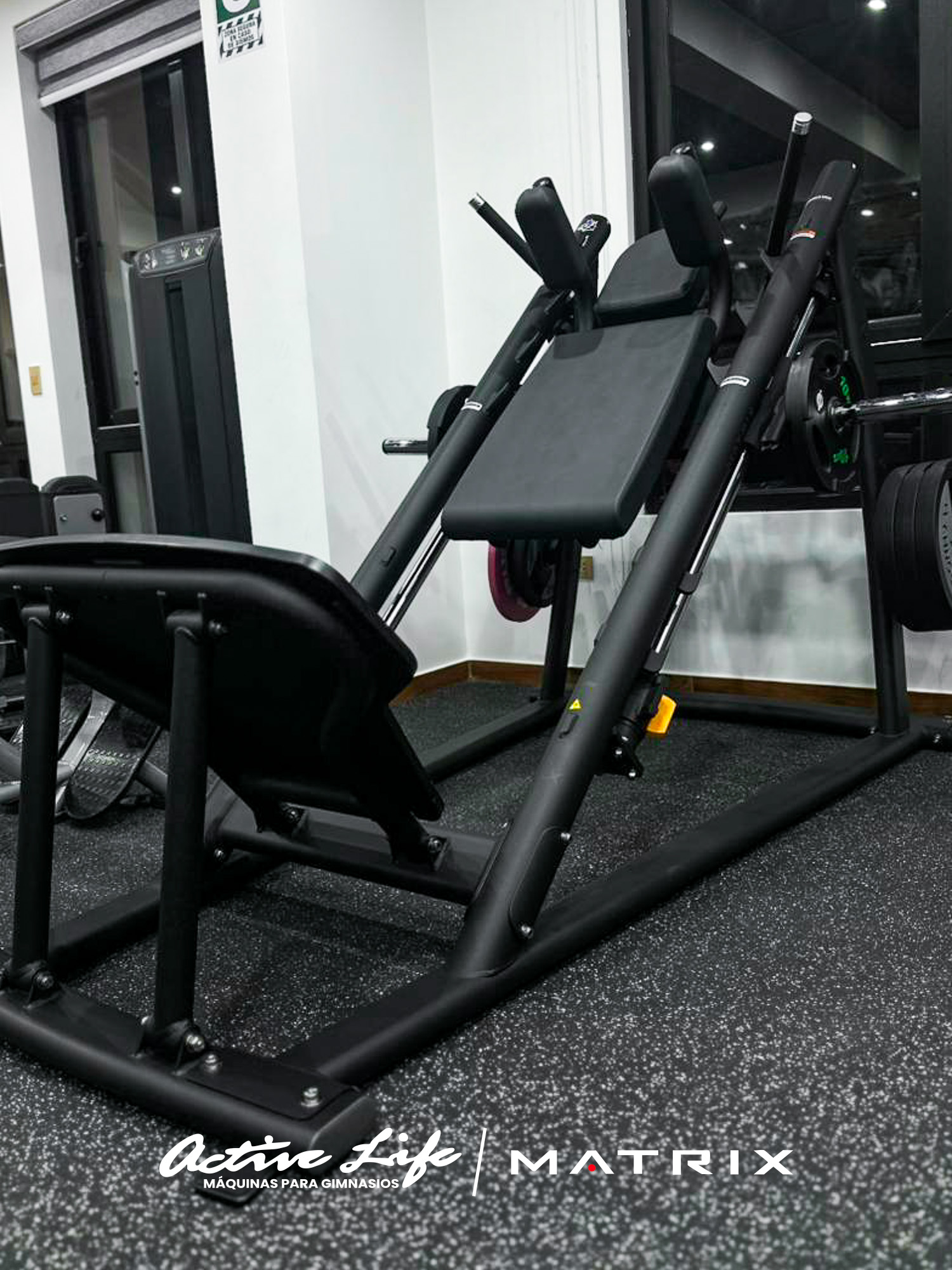 GIMNASIO EZ FITNESS CLUB - ACTIVELIFE