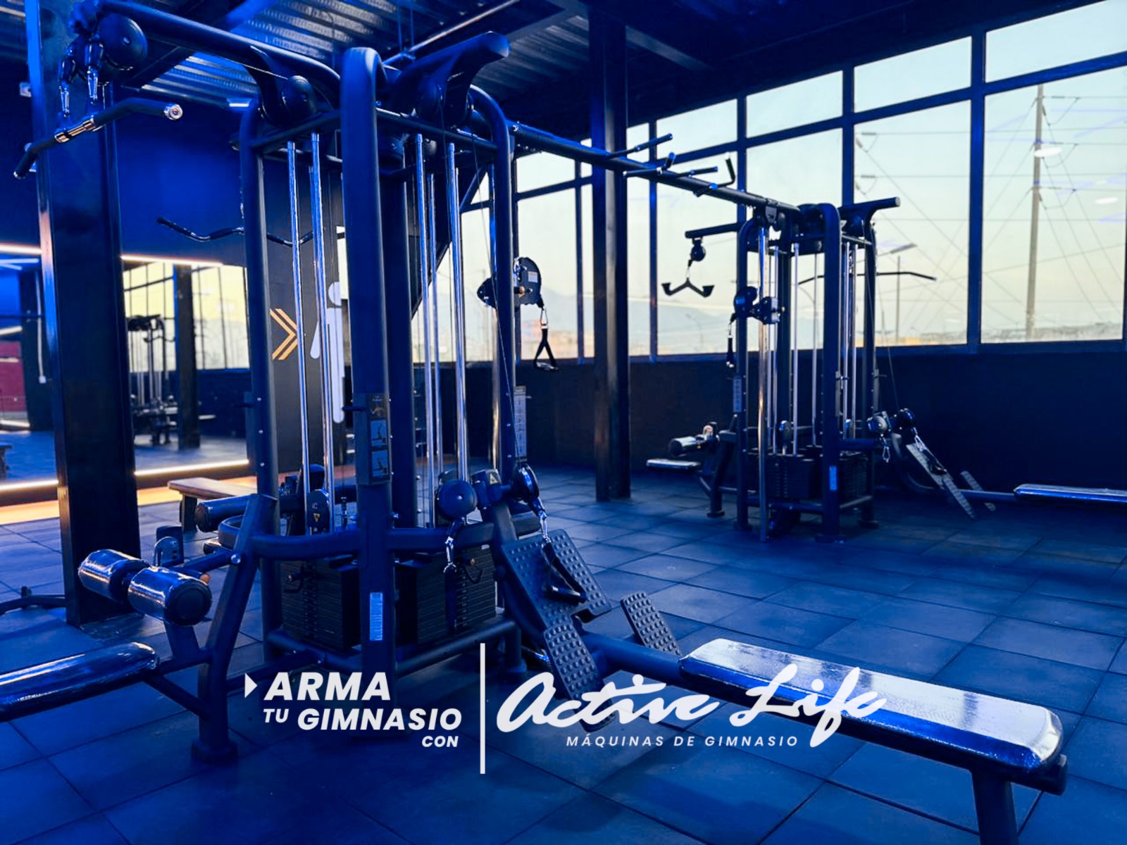 Activelife Maquinas de gimnasio - Proyectos Titan Gym - Maquinas para pecho, piernas, gluteos, hombros, banco regulable, mancuernas.