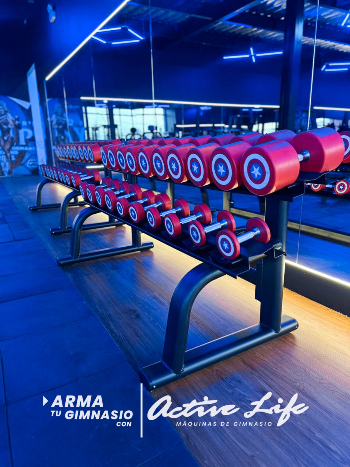Activelife Maquinas de gimnasio - Proyectos Titan Gym - Maquinas para pecho, piernas, gluteos, hombros, banco regulable, mancuernas.